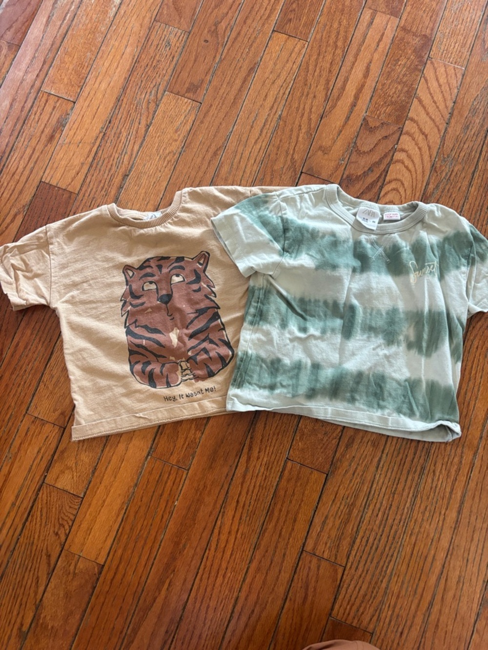 Zara Beige Tiger Graphic Tee & Green Tie-Dye Short Sleeve Set
